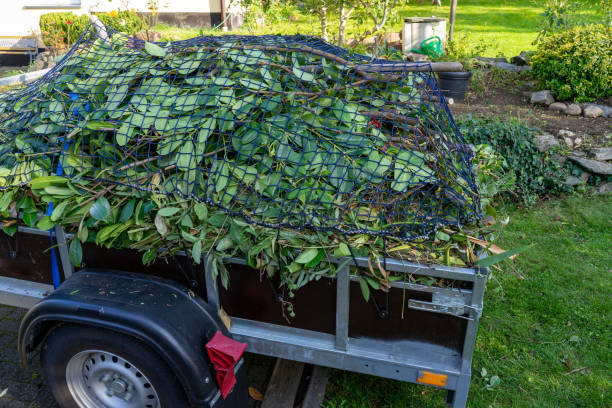 Best Furniture Removal  in Hamilton, MT